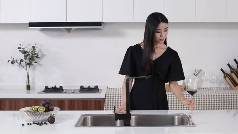 羅麗莎：黑色經典[00_00_05][20180727-184710-0].JPG